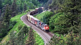 Roaring EMD Action In The Canyon! Huge Canadian Freight Trains Follow Curves Along The Fraser River