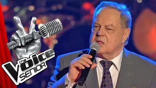 Adele - Make You Feel My Love (Charles Duncan) | The Voice Senior | Sing-Offs | SAT.1