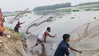 Net Fishing on Boat।Traditional Cast Net Fishing in River।fishing videos
