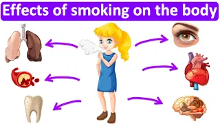 What are the effects of smoking on the body? 🚬 | Easy Science lesson