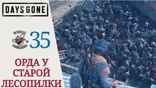 💣 ОРДА У СТАРОЙ ЛЕСОПИЛКИ - Прохождение Days Gone Жизнь после #35: Наперегонки со временем