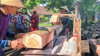 The process of felling trees until they are chopped into ribs and mahogany planks