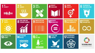 UN Sustainable Development Goals (SDGs): What They Are & Why They're Important