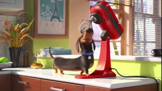 THE SECRET LIFE OF PETS - Characters Trailer (2016)