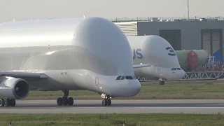 Airbus Belugas A300's landing's and departures compilation at Hamburg Finkenwerder Airport