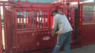 1185 Squeeze Chute & Palpation Cage
