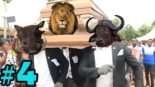 Coffin Dance Meme - WILD ANIMALS Meme Compilation 2021 #4