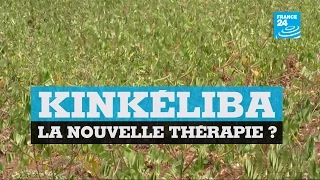 TOGO - Le Kinkéliba, une nouvelle thérapie ?