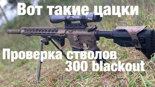 Пристреливаем AR15, 300 blackout и  AR10