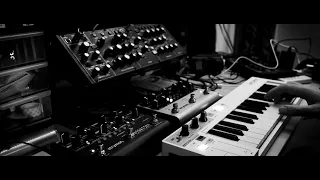 Ambient improv on a Behringer Model D, with Strymon Volante & Nightsky pedals