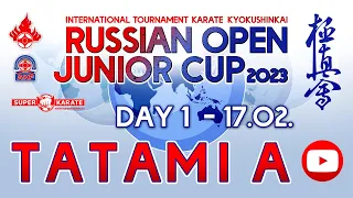 «Russian Open Junior Cup - 2023». ТАТАМИ А (1 день)