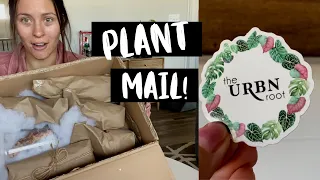 Houseplant Mail Unboxing! | The URBN Root Plant Unboxing!