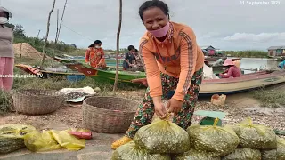 Everyday Life of people,Tonle Sap Lake, Mekong River, Floating Villages