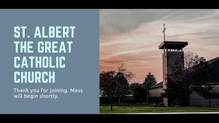 Twenty-third Sunday of Ordinary Time:  September 4, 2022 (Vigil Mass)