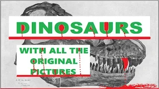 AUDIOBOOK - DINOSAURS (Including The Original Pictures)