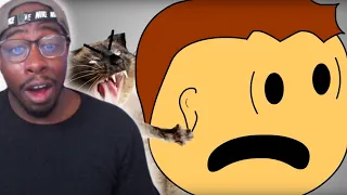 This Is Why You Shouldn't Get A Cat..jk I Brewstew - Cat Attack-*REACTION*
