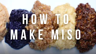 How to make your own miso paste