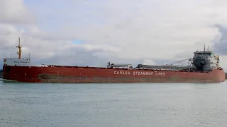 FIRST VIDEO OF 2024; Baie Comeau Freighter Salute