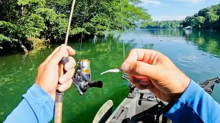 2 Hours of RAW and UNCUT Ultralight Fishing with Gulp Minnows