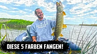 5 Farben, die IMMER Fangen! Welche Gummifisch Farbe für Hecht?