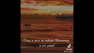 Пророк Муса алайхи салам спросил кто же это умма Мухаммада! #Ислам #akhmad #хадисы #рамадан