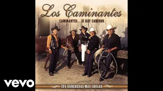 Los Caminantes - Tu Mirada (Audio)