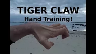 Tiger Claw Kung Fu - Hand Position and Conditioning!