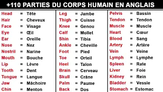 🧠 110 Parties du corps Humain en Anglais. || 📚 Learn 110 parts of the human body in English.