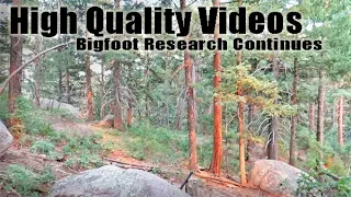 Bigfoot Sasquatch Colorado Research Investigation Continues