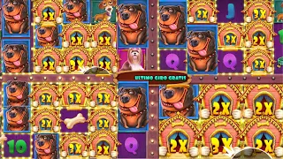 Super Mega Wins in Dog House Multihold - Hold the Excitement