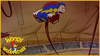 Woody Woodpecker | Dizzy Acrobat | Full Episodes