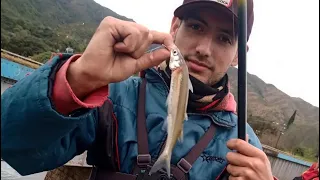 TUTORIAL DE LA MEJOR LÍNEA DE VUELO PARA EL PEJERREY!! No falla.....pesca SI o SI....