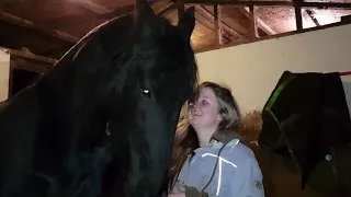 Horse pulls owner close for a hug