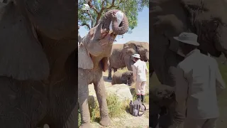 Khanyisa Drinks Her Milk Bottles with Baby Elephant Phabeni!