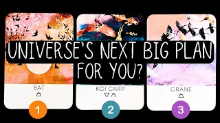 Universe's Next BIG Plan For You?✨⭐️🌱✨pick a card reading 🃏Timeless tarot card reading