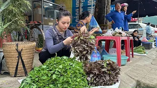 How to salt cassava leaves - harvest spinach and red amaranth to sell at the market