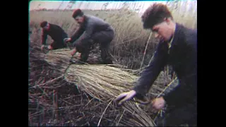 Ernest Kleinberg Films:  The Netherlands: Struggle for Land