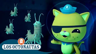 Los Octonautas - Dentro de la cueva de los remipedios | Episodios Completos