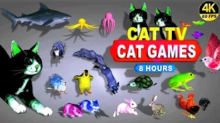 CAT GAMES | THE MOST FAVORITE MOVIE FOR CATS TO WATCH | CAT TV COMPILATION 4K 8-HOURS | 🐱