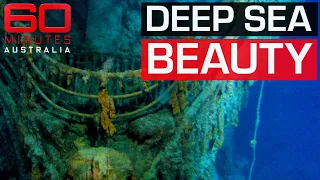 Why deep sea expeditions are truly the experience of a lifetime | 60 Minutes Australia