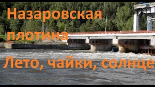 Р Чулым, плотина Г Назарово,лето, солнце,чайки