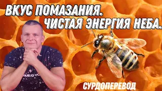 ВКУС ПОМАЗАНИЯ. ЧИСТАЯ ЭНЕРГИЯ НЕБА. Андрей Яковишин СУРДОПЕРЕВОД