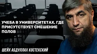 Учеба в университетах, где присутствует смешение полов