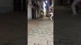 bull running into wall festival carnival shocking animal