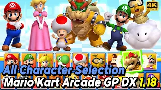 Mario Kart Arcade GP DX 1.18 All Character Selection