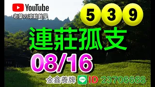 今彩  08/16(二)  連莊孤支 （上期：有連莊，沒抓到）