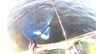 Pike fishing in Aluksne lake