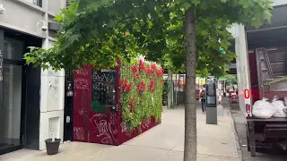 Live NYC Walking Commute: Brooklyn to Manhattan Over the Williamsburg Bridge - June 12, 2023