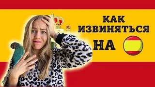 11 фраз, как правильно извиняться. Полезные фразы на испанском языке.