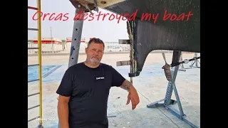 Orcas destroyed my boat